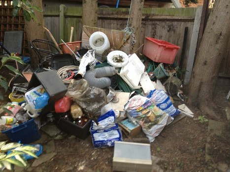 Variety of skips available for hire