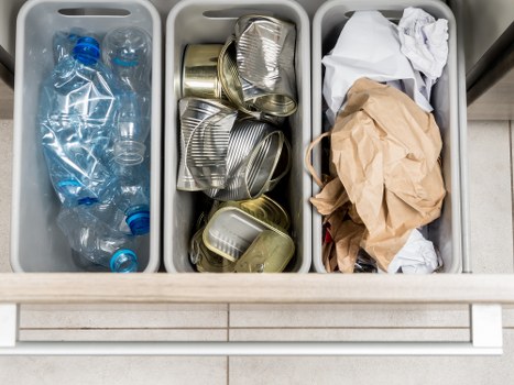 Business professionals assessing waste for skip hire
